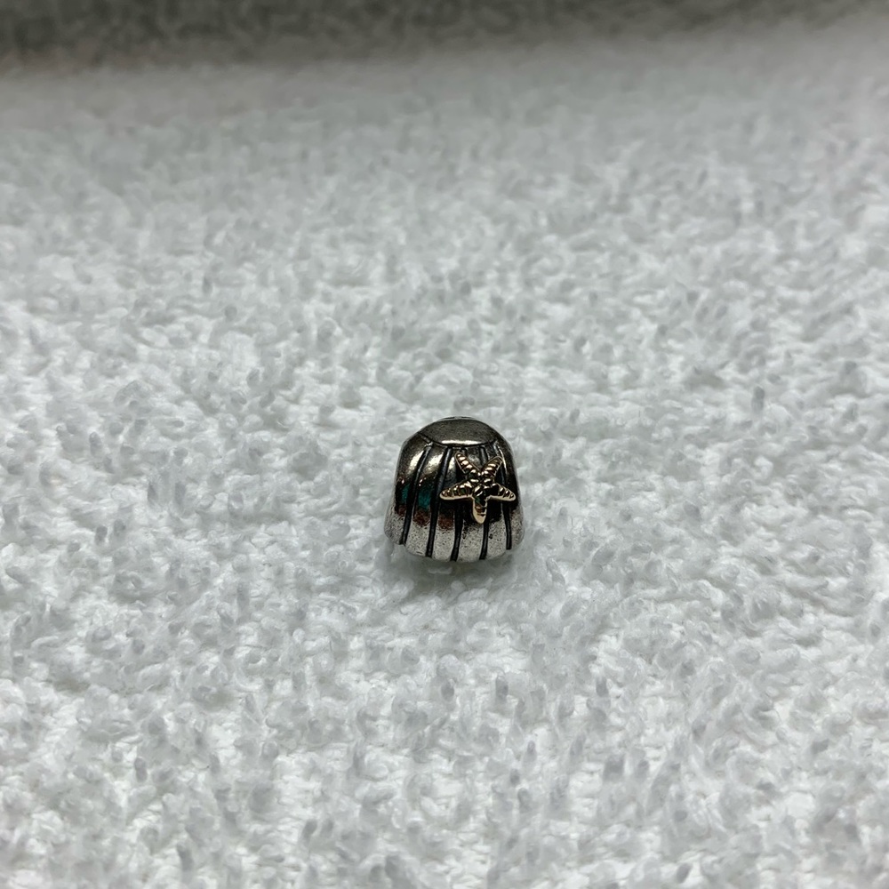 Pandora charm